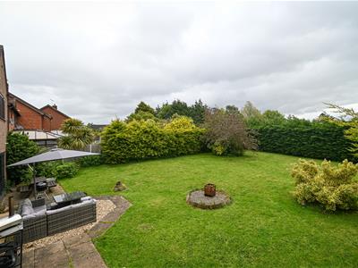 Picture 23